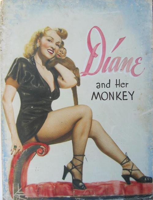 monkey diane
