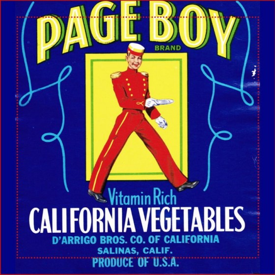 page boy vegetables