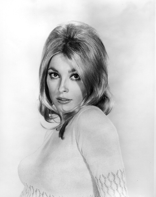 Sharon Tate actress and star of the film Valley of the Dolls. Murdered by the Manson Family in 1969 Ref:P170040 Date:15.09.1967  COMPULSORY CREDIT: Starstock/Photoshot