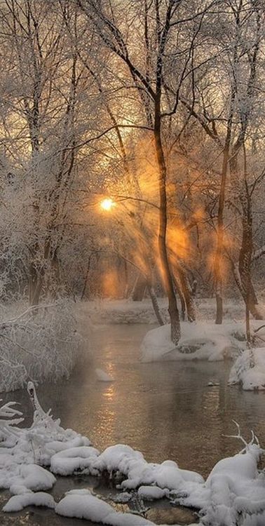 SNOW SUNRISE