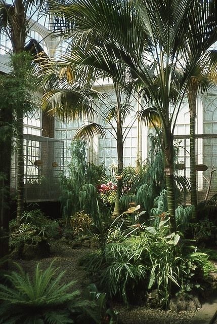 conservatory 132