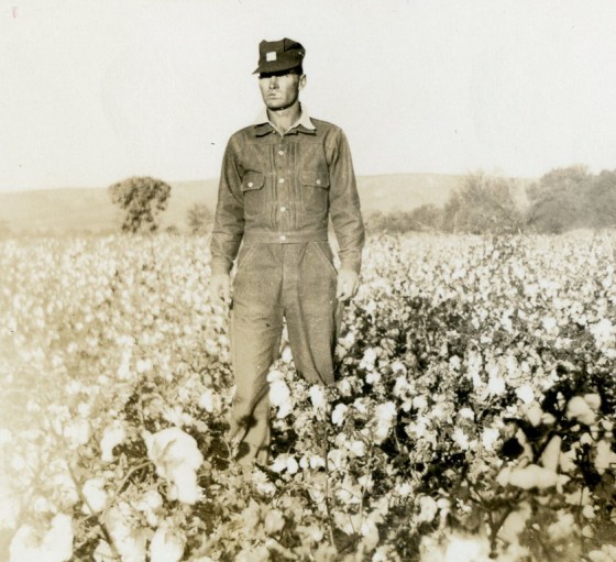cotton farmer