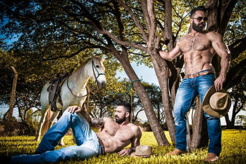 cowboy shirtless 2500