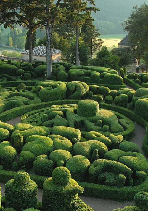 garden topiary