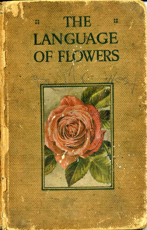 language of flowers 45