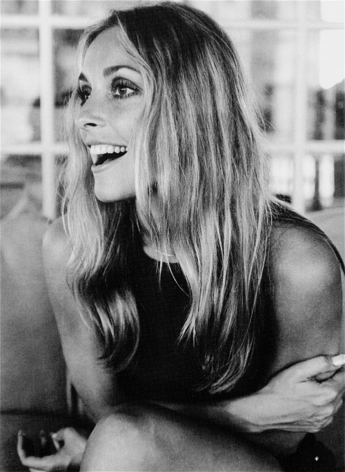 sharon tate 22501