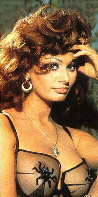 sophia loren 9501