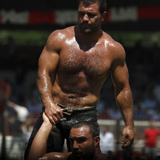 turkish oil wrestlers 124