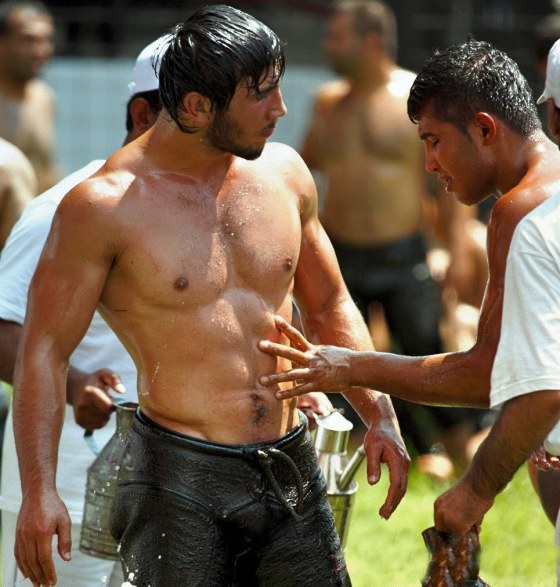 turkish oil wrestlers 444