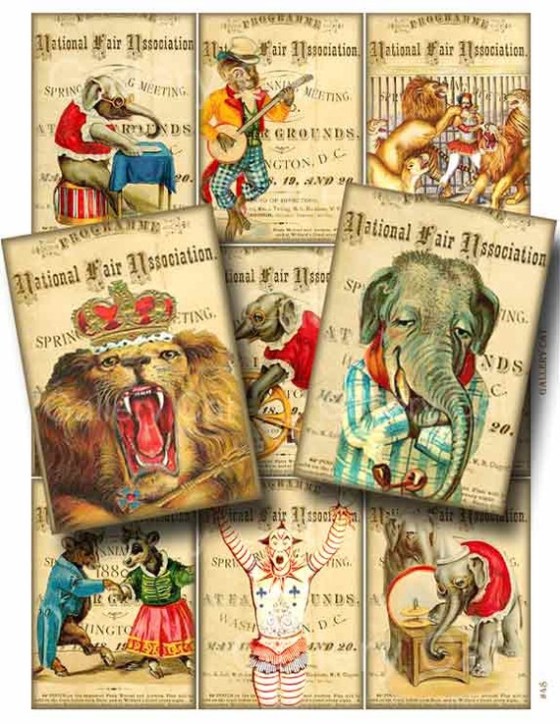 circus national fair assoc