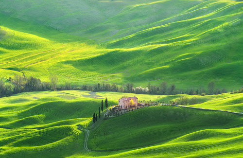 italt tuscany spring 501