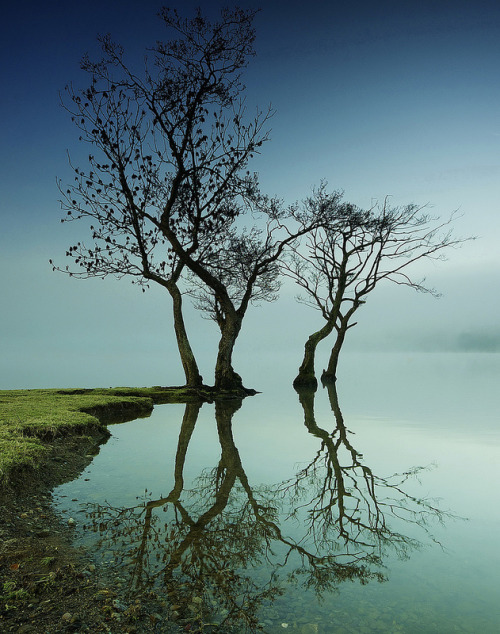 Reflection (Photo by Mark Littlejohn) | MATTHEW'S ISLAND