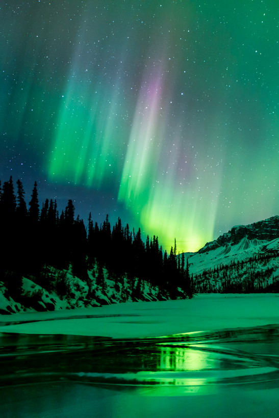 A magnificent multicolored aurora is reflected by the frozen surface of Nutirwik Creek, in the Brooks Range of northern Alaska, just past midnight on March 21, 2015. Aurora occur when fast-moving charged particles from the sun are directed by the Earth's magnetic field to the polar regions, where they strike molecules in the atmosphere and cause them to emit light.