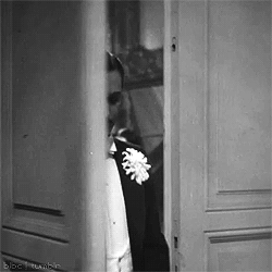 anton wohlbruck GIF 250