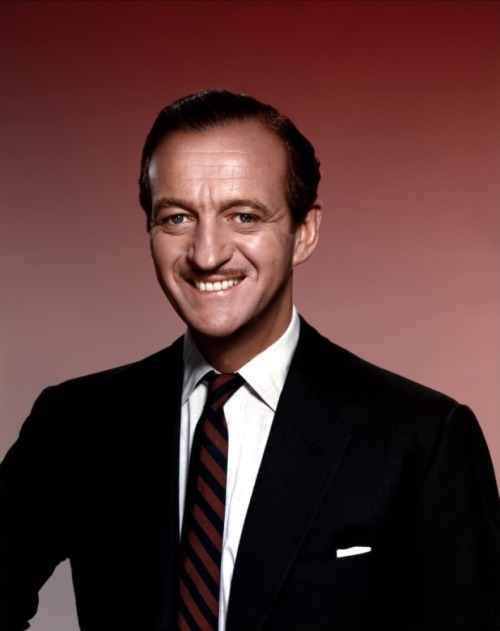 david niven 1231