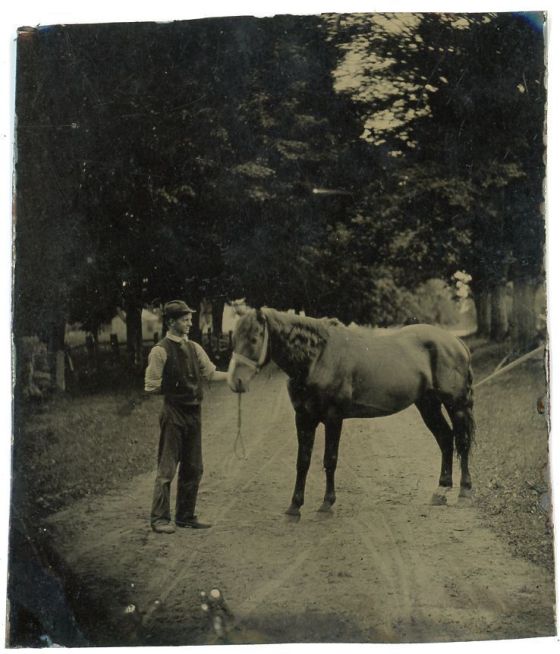 man and horse