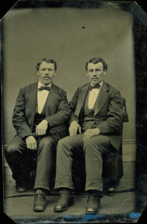 stache together 2499