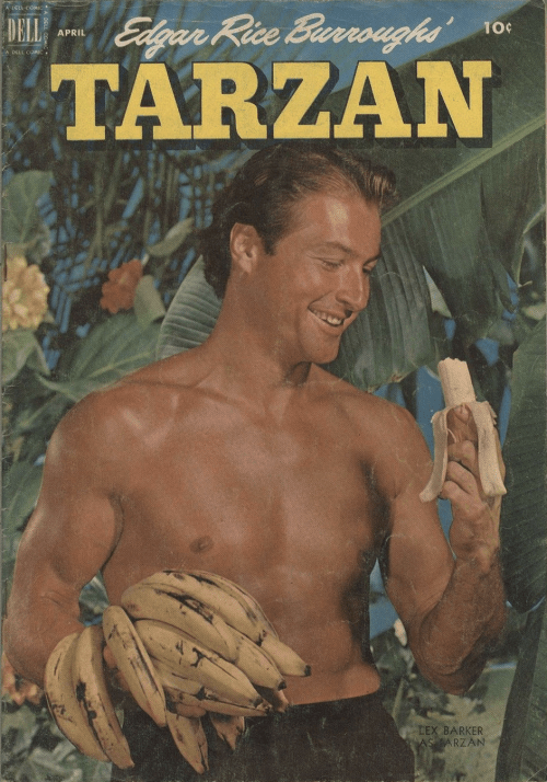 tarzan 333