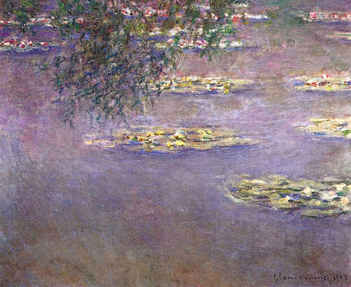 waterlillies monet