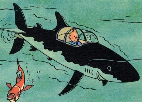 tin tin shark