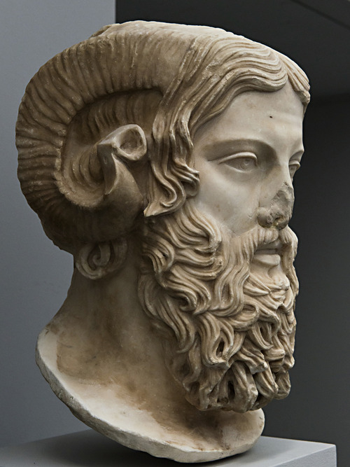 beards of the ancient 48791