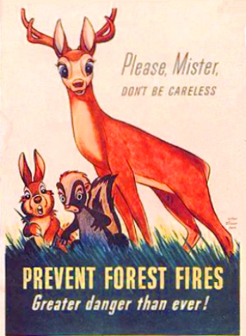 forest fire 233