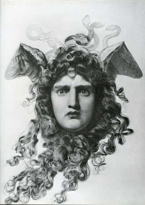 medusa2
