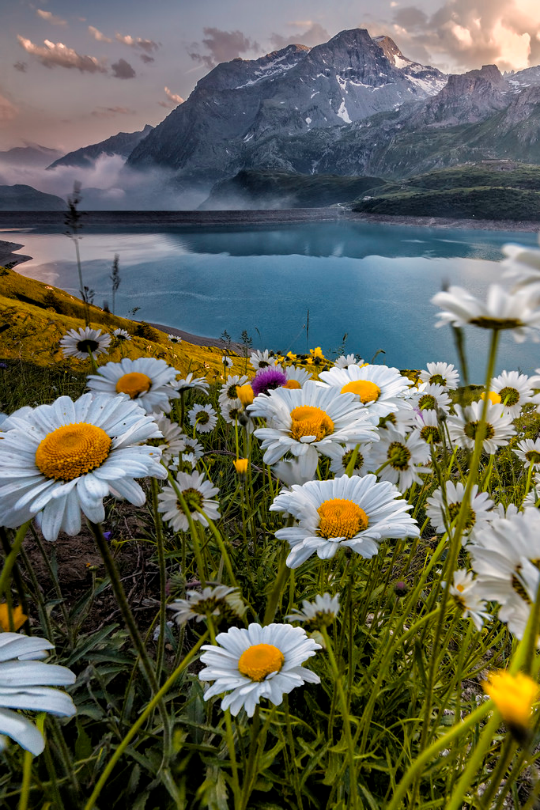 mountains Walking in Paradise by Perez Alonso Photography