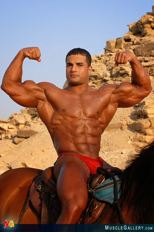 muscle horseback