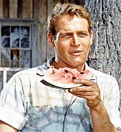 paul newman long hot summer 251