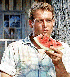 paul newman long hot summer 252