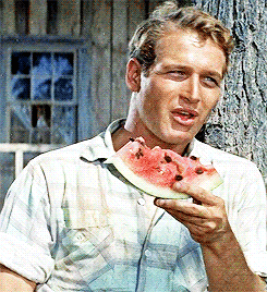 paul newman long hot summer 253