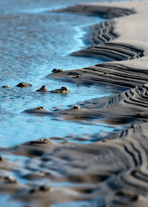 canyonscape-at-the-beach-by-lasse-kaiser