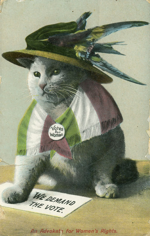 feline-suffragette