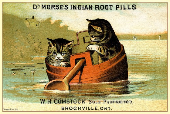 indian-root-pills