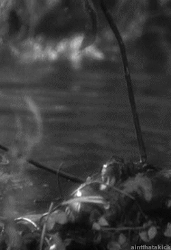 marlene-dietrich-swimming-401