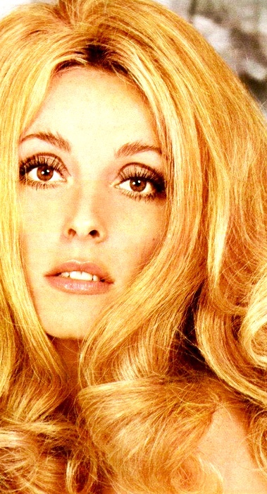 sharon-tate-9501