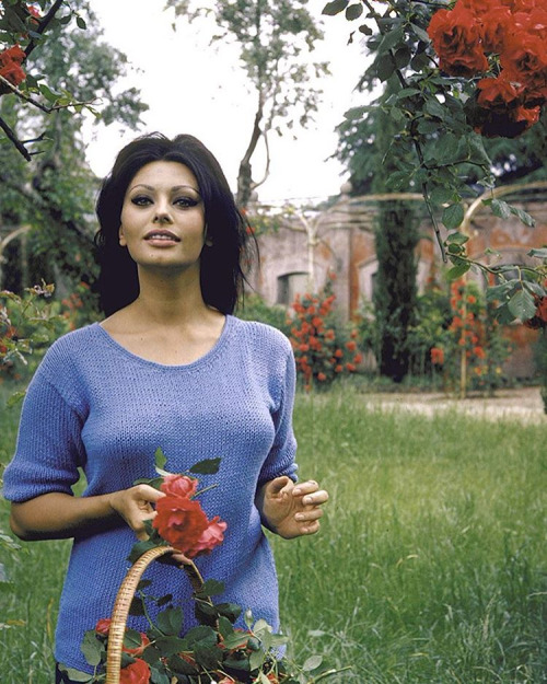 sophia-loren-130