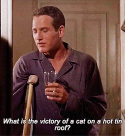 cat-on-a-hot-tin-roof-250