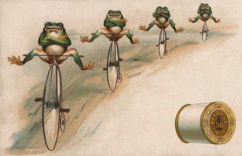 frog-twine-penny-farthing