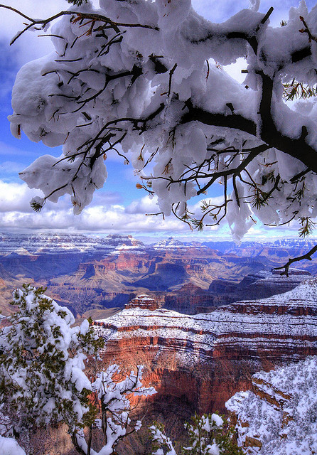 grand-canyon-snow
