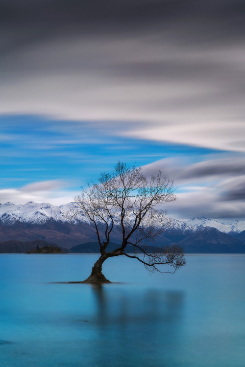 mountain-lake-tree