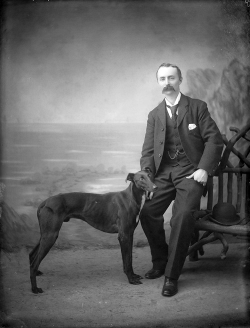 stache-and-dog-ireland