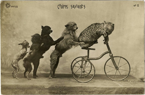 collection du Musée des Civilisations de l'Europe et de la Méditerranée MuCEM