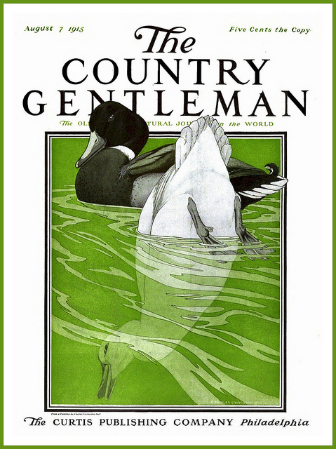 country-gentleman-1915