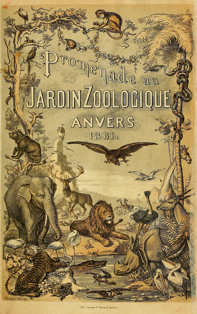 jardin-zoologique-anvers