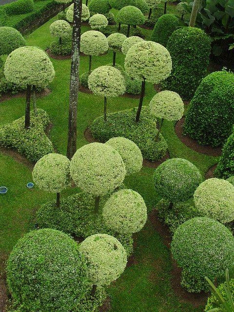 landscape-topiary