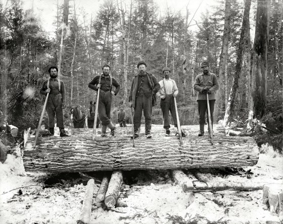 lumberjacks-488