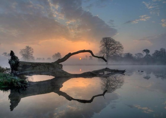 misty-morning-reflection