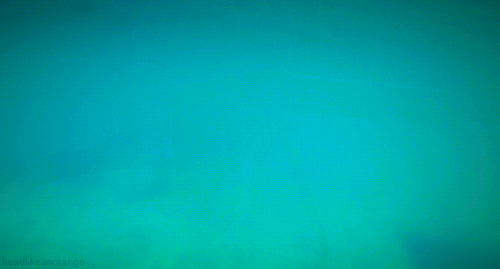 penguin-swimming
